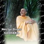 দামোদরাষ্টকম্ Nectar Drops
