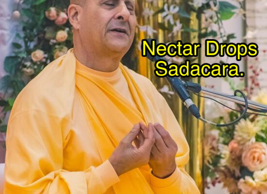 Nectar Drops- Sadacara