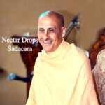 Nectar Drops- Sadacara