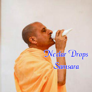 Nectar Drops- Samsara