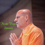 Nectar Drops- Samsara