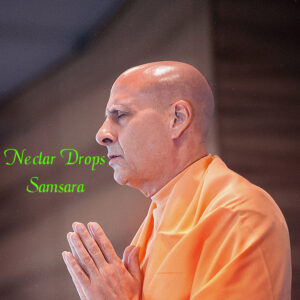 Nectar Drops- Samsara