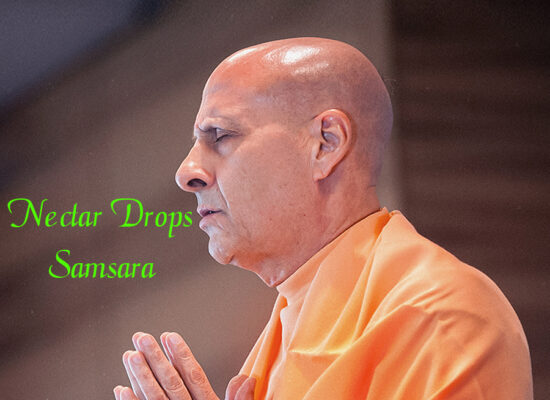 Nectar Drops- Samsara