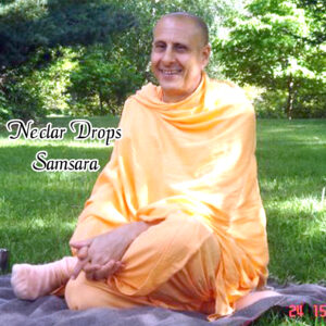 Nectar Drops- Samsara